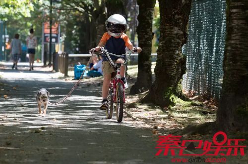 奇迹男孩电影豆瓣影评畅销小说改编 小莱奥纳多主演票房口碑飘红