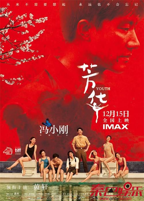 芳华电影让冯小刚挤进10亿票房导演 豆瓣影评完整介绍