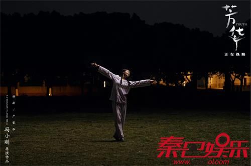 芳华电影让冯小刚挤进10亿票房导演 豆瓣影评完整介绍