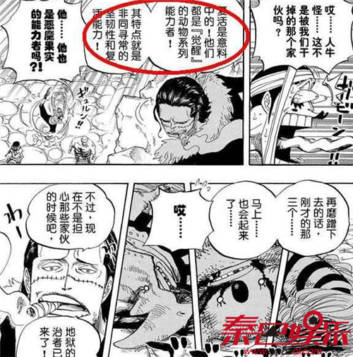 海贼王动物系超人系觉醒效果明确了 海贼王漫画898话情报